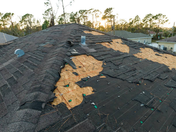 Skylights in Ara, AL